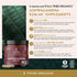 TRIBE ORGANICS Ashwagandha KSM 66 - Pure Organic Root Powder Extract for Focus & Mood Support, 90 Capsules