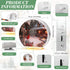 Hollowfly 12 Singing Bird Box White Noise Sound Machine LED Light Radar Sensor Relaxation Device with Natural Sounds
