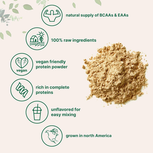 Micro Ingredients Pea Protein Powder, 5 Pounds, Plant Based, Unflavored, Vegan Protein Source