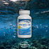 Super Omega-3 Max Fish Oil, 2400 mg Omega 3, High Potency with EPA and DHA, Lemon Flavor, 30 Servings