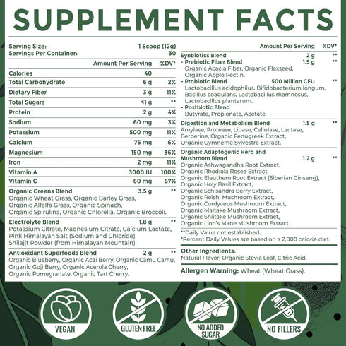 Sundhedsliv Immune| 30 Super Greens Powder Superfood + Electrolytes & Tonic Herbs | Organic Greens, Shilajit