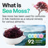 Organic Irish Sea Moss Pills, Wildcrafted Dr Sebi Inspired Seamoss Blend with Turmeric, Burdock Root & Bladderwrack