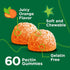 Zinc for Kids Gummies 10mg with Vitamin C & Echinacea - Vegan, Gelatin-Free Immune Support Gummy