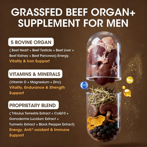 inch CoQ10, Immune 120 Count M Beef Organs Supplement, Beef Liver Capsules, with Kidney, Pancreas, Tribulus Terrestris