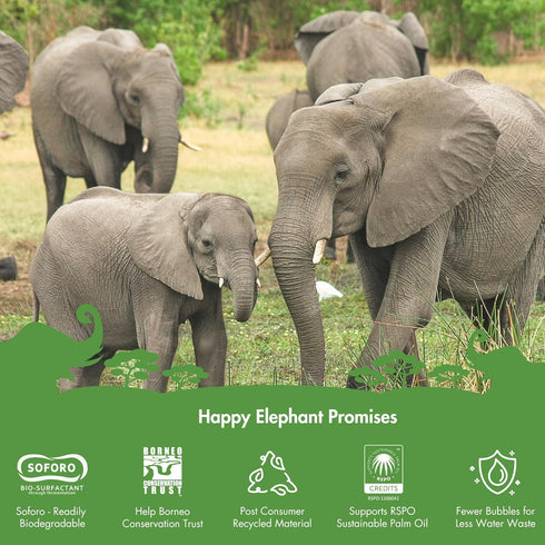 Happy Elephant Laundry Detergent, Ultra Concentrated Liquid Soap, Fresh Linen, 64 Loads, White Tea and Fig