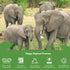 Happy Elephant Laundry Detergent, Ultra Concentrated Liquid Soap, Fresh Linen, 64 Loads, White Tea and Fig