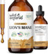 Organic Lions Mane Liquid Extract - Lion’s Mane Mushroom Supplement - Vegan, Alcohol Free Drops - 4 fl oz