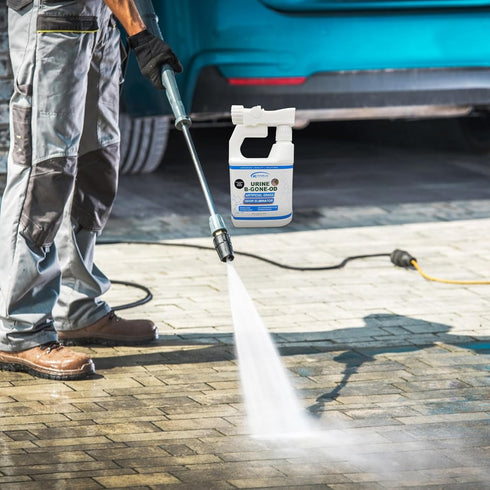 URINE-B-GONE-OD | Turf, Patio & Outdoor Urine Enzyme Odor Eliminator - 32 oz with Hose Connect Sprayer