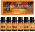 SALUBRITO Fall Essential Oils Set - Autumn Fragrance Oil for Diffuser, Candle Making, 6x10ml - Cinnamon, Pumpkin Spice