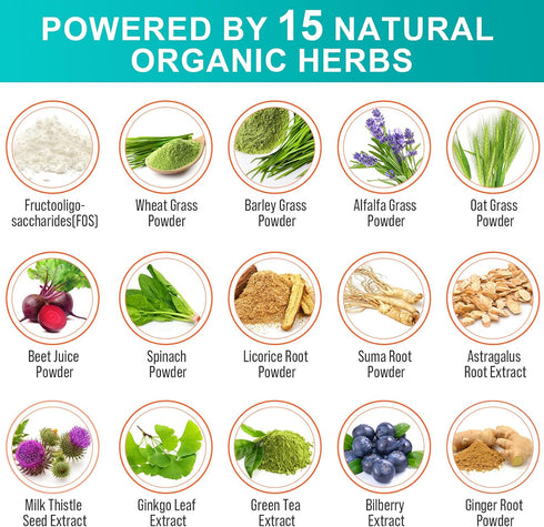 Probiotics for Women & Men - 300 Billion CFU & 24 Strains with 15 Organic Herbs for Digestive Health - 2 Month Supply