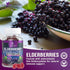 Immune Support Gummies with Elderberry Extract, Zinc & Vitamin C, 60 Gummies, Natural Vegan