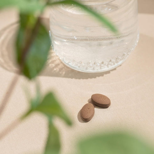 Banyan Botanicals Tulsi (Holy Basil) Organic Lung and Respiratory Health Supplement, 90 Tablets, Non-GMO Vegan