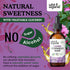 Echinacea Drops - Organic Tincture, Echinacea Root Supplement, Vegan, Alcohol Free - 2 fl oz