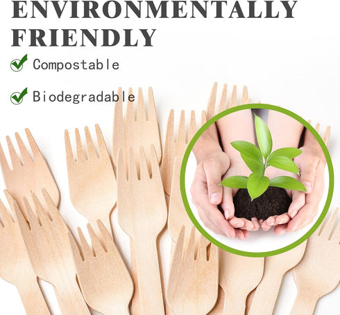 300 Pack Disposable Wooden Cutlery, Natural Wooden Utensils, Eco-Friendly, Biodegradable for Outdoors and Parties (Spoon-300Pcs)