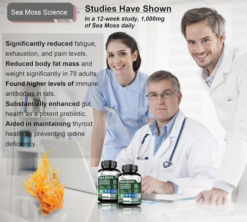 16-in-1 Organic Sea Moss 7000mg, Ashwagandha 2000mg, Black Seed Oil 4000mg, Turmeric, Vitamin C & D3 for Overall Health