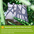 15 Pack Bamboo Charcoal Air Purifying Bag, Activated Odor Absorber, Natural Pet-Friendly Freshener