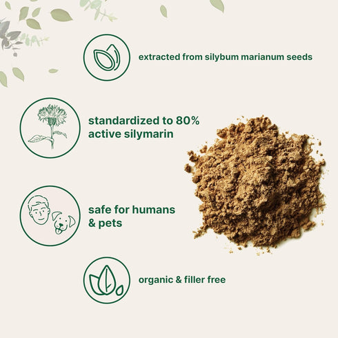 Organic Milk Thistle Powder, 3.5 oz, Herbal Liver Support Supplement, Non-GMO