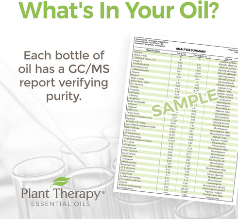 Plant Therapy Marjoram Sweet Essential Oil 10 mL (1/3 oz) | 100% Pure, Undiluted, Natural Aromatherapy, Therapeutic