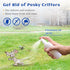 HIQILI Cinnamon Essential Oil for Spray, Diffuser, Garden and Kitchen - 100% Pure Natural - Indoor and Outdoor, 3.38 Fl