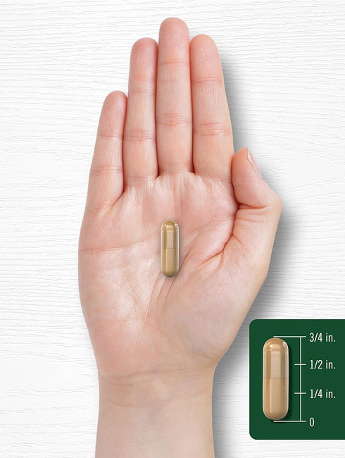 Carlyle Coleus Forskohlii Capsules | 625mg | 100 Count | Non-GMO & Gluten Free Standardized Extract