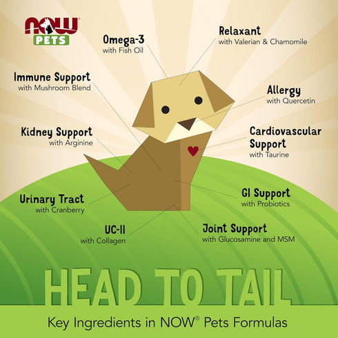 NOW Pet Health L-Lysine Supplement Powder for Cats, NASC Certified, 8-Ounce
