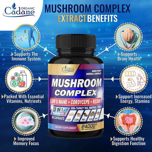 Organic Cadane 13in1 Mushroom Complex Supplements - Brain, Memory, Energy Production & Immune System - & Lions Mane Mushroom, Reishi, Turkey Tail, Maitake, Chaga & More - 90 Capsules