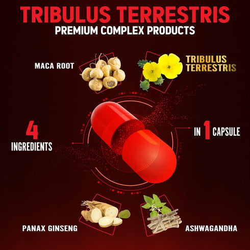 Zolotus Premium Tribulus Terrestris Capsules with Ashwagandha, Panax Ginseng & Maca, 90 Counts for 3 Months
