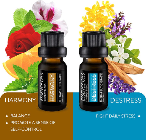 Pure Daily Care Aromatherapy Top 10 Essential Oil Synergy Blend Set - 10 x 10 ml Blends, Therapeutic Grade