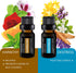 Pure Daily Care Aromatherapy Top 10 Essential Oil Synergy Blend Set - 10 x 10 ml Blends, Therapeutic Grade