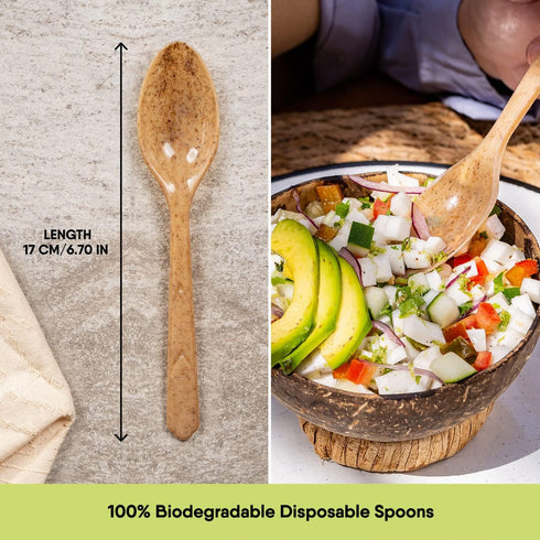 100% Biodegradable Spoons Made of Vegetable Fibers, 100 PCS of 6.7” Long Heavy-Duty and Splinter Free Eco-Friendly Spoons, Perfect Sustainable Cutlery for All Types of Occasions by The Veggie Straws