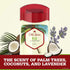 Old Spice Aluminum Free Deodorant for Men, Fiji with Palm Tree Scent, 3.0 Ounce, Pack of 3