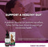 Immune 2 oz (60 Host Defense Turkey Tail Extract - Digestive Health & Response Support Supplement - Mushroom Supplement