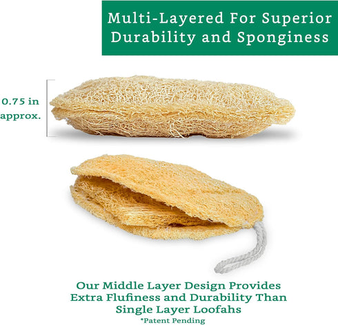 Natural Loofah Exfoliating Sponge, 3 Pack Organic Body Scrubber for Shower