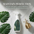 Silk Plant Cleaner Spray No Wipe, Faux Greenery Cleaner Cleaner, Removes Dust & Restores Fresh Natural Look, Easy Spray