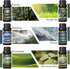 HIQILI Nature Fragrance Oil 6x10ml, Essential Oils Set for Candle Scents, Soap Making & Diffuser