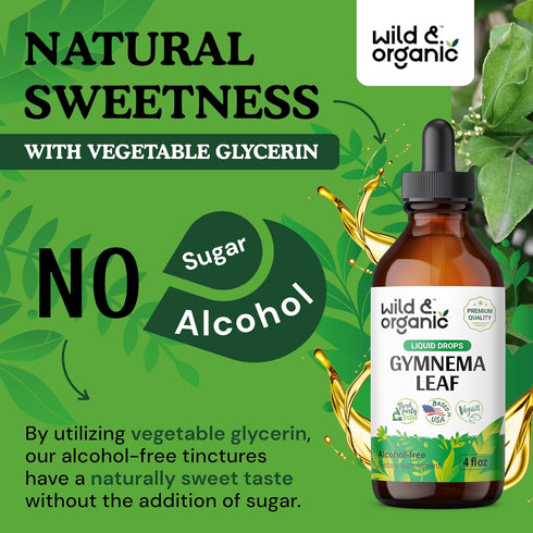 Gymnema Tincture | Sugar-Free Organic Gymnema Sylvestre Drops for Antioxidant Support - 4 Fl Oz