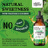 Gymnema Tincture | Sugar-Free Organic Gymnema Sylvestre Drops for Antioxidant Support - 4 Fl Oz