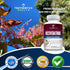 Resveratrol Supplement 1200mg - Japanese Knotweed Resveratrol Capsules, High Potency Trans Resveratrol for Healthy