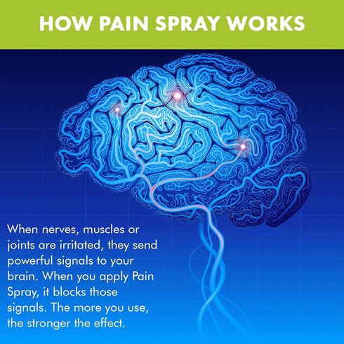 Premiere's Pain Spray - All-Natural Menthol & Peppermint Roller for Joint and Muscle Pain, 3 Pack