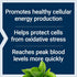 Life Extension Super R-Lipoic Acid 240 mg - 60 Vegetarian Capsules for Anti-Aging and Liver Health