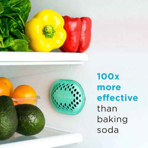 Refrigerator Deodorizer Eliminator, Nontoxic Coconut, Activated Charcoal, Natural Air Fresheners, Moisture & Odor