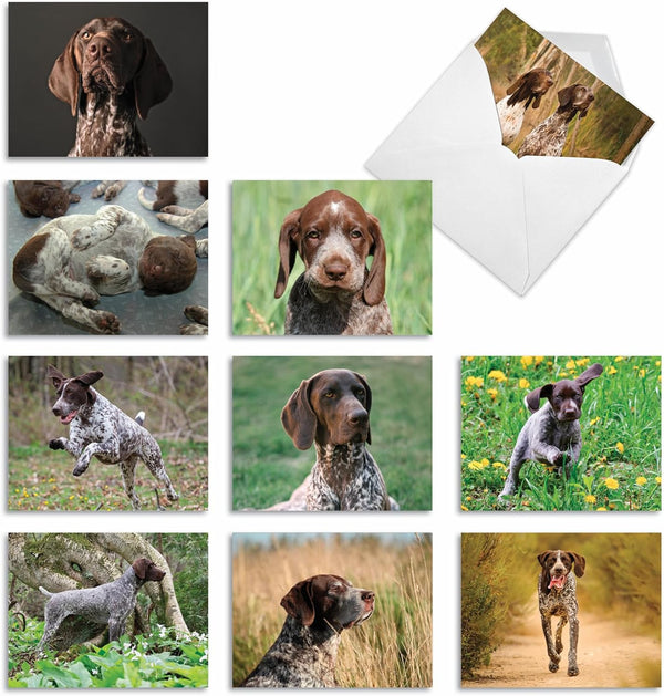 The Best Card Company - 10 Adorable Blank Dog Cards (4 x 5.12 Inch) - Assorted Pet Breeds, Boxed Set