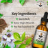 Christopher's Original Formulas Oil of Garlic Extract, 2 Ounces, Premium Herbal Supplement