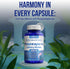 Memory Supplement for Brain Support | Phosphatidylserine with Memory and Focus Complex, 66 Day Supply