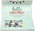 Holiday Card | Zip-Open Money Holder with Clear Plastic Window for Cash, Check, & Gift Card (Penguin)