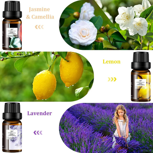 Refresh Essential Oil Set, 6x10ml Aromatherapy Oils for Air Purifier, Diffuser, Humidifier, DIY Candle