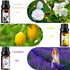 Refresh Essential Oil Set, 6x10ml Aromatherapy Oils for Air Purifier, Diffuser, Humidifier, DIY Candle