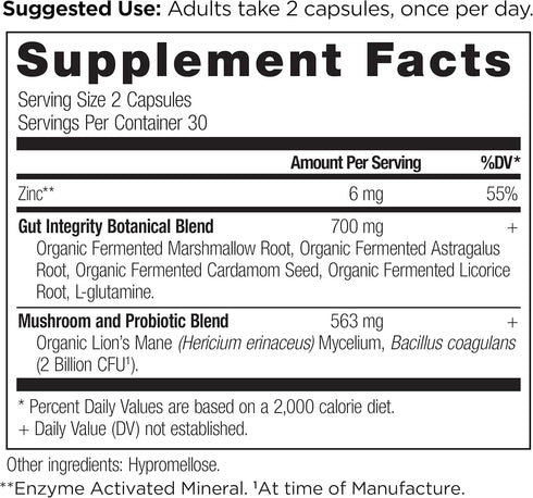 Gut Health Supplement by Ancient Nutrition | Leaky Gut Capsules, 60ct with Licorice Root, Gluten Free