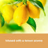 Furniture Clinic Stone & Tile Floor Cleaner, Easy Application, Quick-Drying with Lemon Aroma, 17oz / 500ml