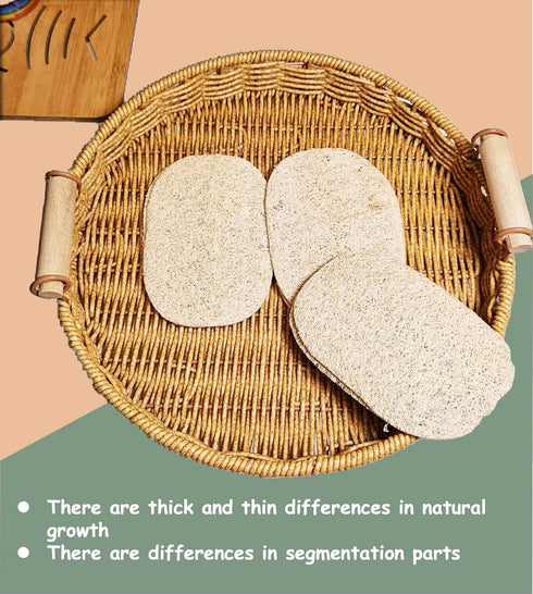 WOCATS 6pcs Natural Loofah Dish Sponges - Non-Scratch Biodegradable Scrubber for Kitchen Dishwashing